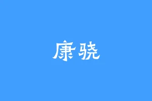康骁