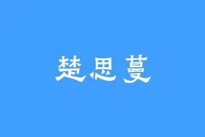 楚思蔓