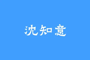 沈知意