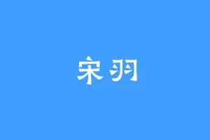 宋羽