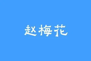 赵梅花