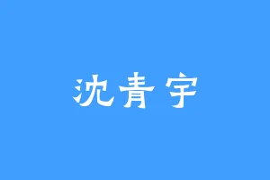 沈青宇