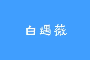 白遇薇