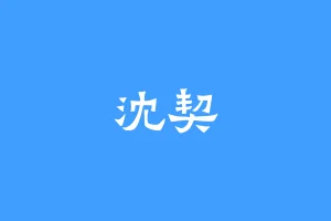 沈契