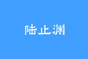 陆止渊