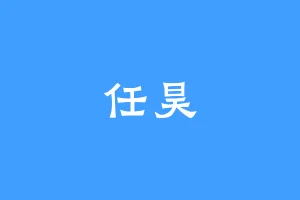任昊