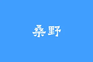 桑野