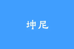 坤尼