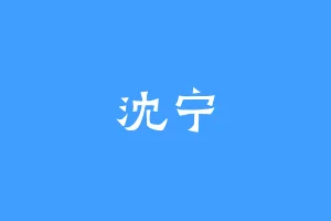 沈宁