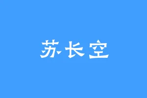 苏长空