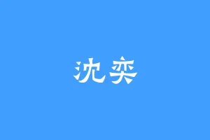 沈奕