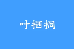 叶栖桐