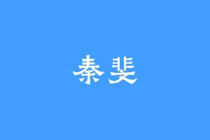秦斐