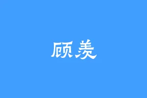 顾羡