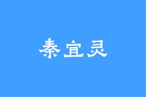 秦宜灵