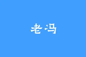 老冯