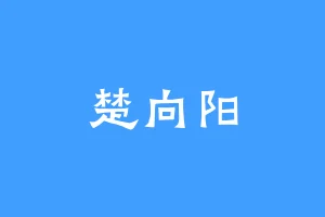 楚向阳