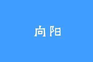 向阳