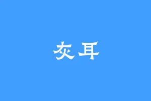 灰耳